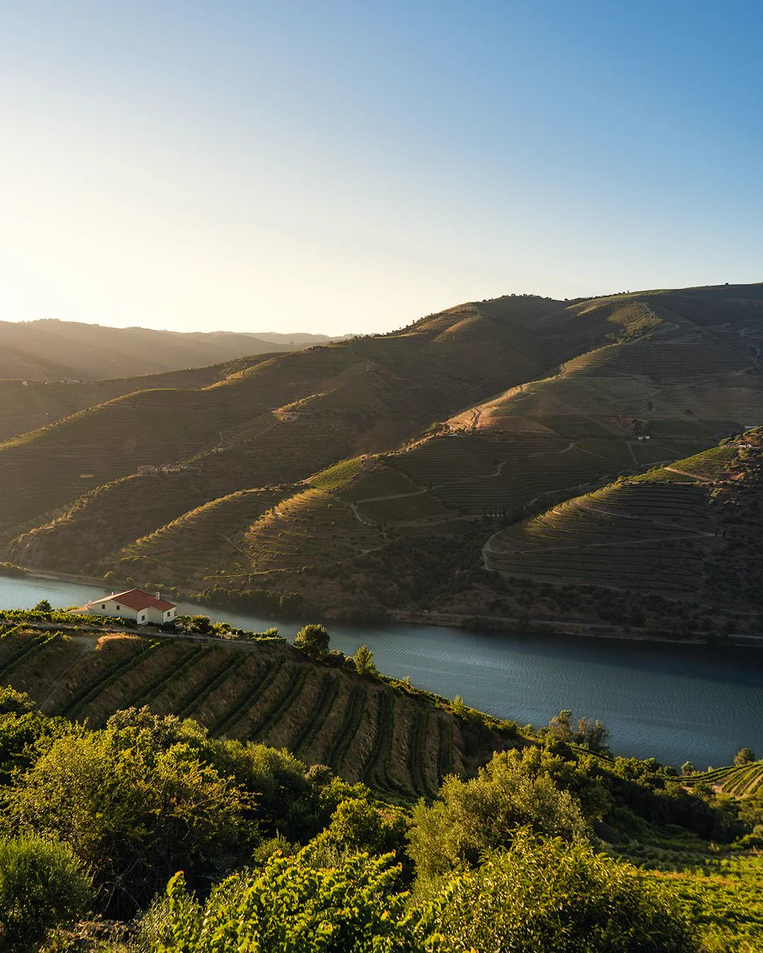 Terraços de vinhedos descendo até a curva do rio Douro, roteiro personalizado em Porto e Douro, Portugal