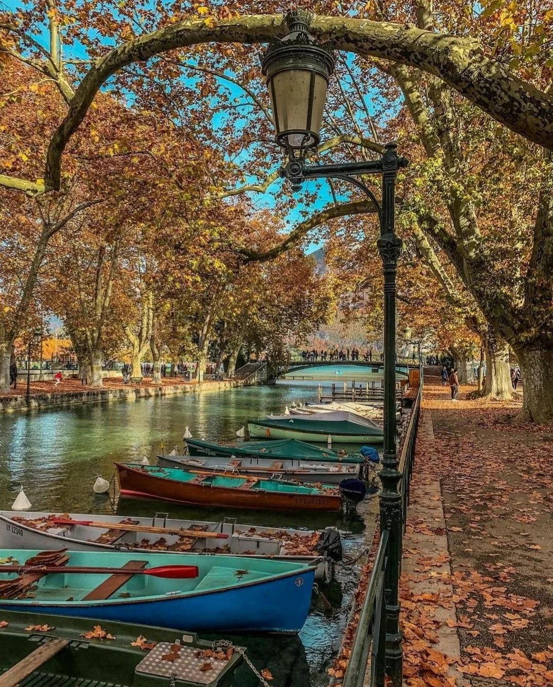 Barcos coloridos junto ao canal de Annecy sob árvores de outono, roteiro personalizado em Annecy e Genebra, Alpes